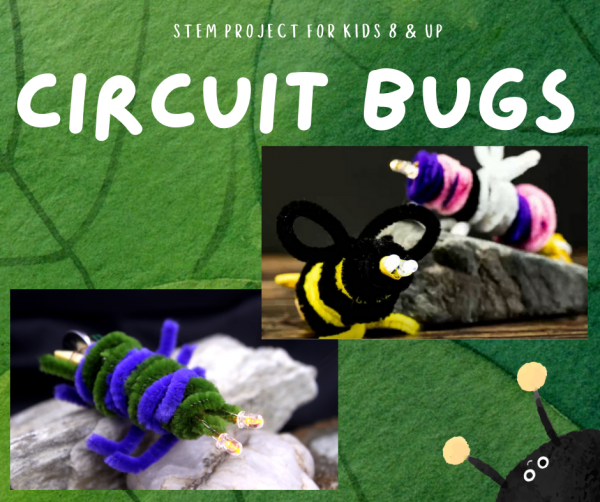 Image for event: Circuit Bugs
