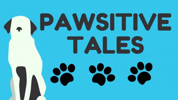 Image for event: Pawsitive Tales