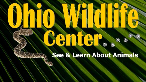 Image for event: Ohio Wildlife Center